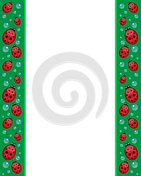 Frame with ladybirds