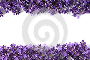 Frame with lavender