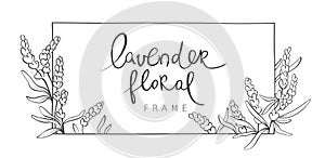 Frame from lavender flowers.