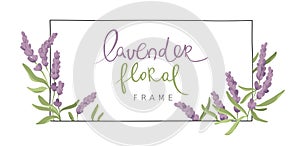 Frame from lavender flowers, sketch in watercolor style, freehand color drawing.