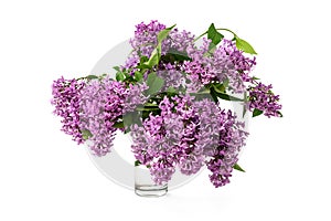 Frame of lilac flowers isolated on white background