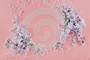 Frame lilac flowers pink background Minimal floral flat lay top
