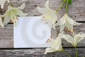 Frame with lily flowers. Flowers composition. Mock up with plants. Flat lay with flowers on white table. Copyspace for text.