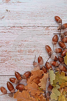 Frame made of acorns and oak leaves on a light wood background. autumn concept. Copy spase