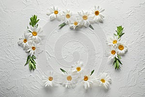 Frame made of beautiful camomile flowers on white background