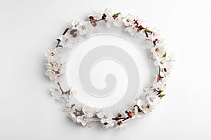 Frame made of beautiful fresh spring flowers on white background