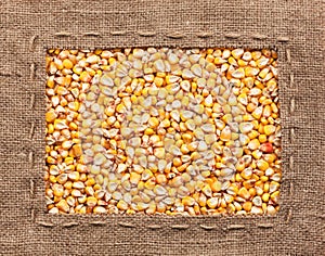 Frame made of burlap with corn