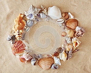 Frame made from colorful beautiful seashells on sand background