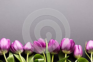Frame made of colorful purple tulips on dark background. Top view, copy space for your text