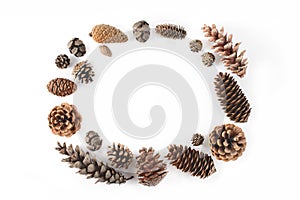 Frame made of cones various coniferous trees isolated on white, view from above. Free copy space.