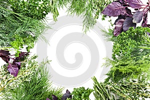 Frame made of different fresh herbs on white background