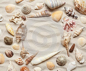 Frame made of different seashells on sand. Space for text
