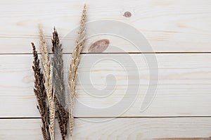 Frame made of different wheats on wood floors