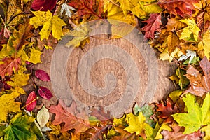 Frame made of fall leaves on wood. Autumn background
