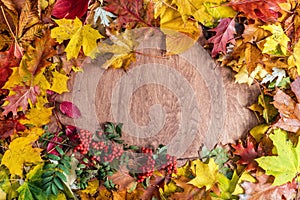 Frame made of fall leaves on wood. Autumn background