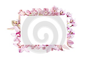 Frame made of flowers. Lovely orchids with copy space
