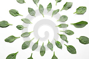 Frame made of fresh green healthy spinach leaves on white background