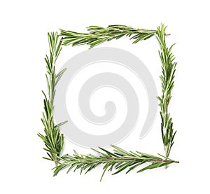 Frame made of fresh rosemary twigs on white background, top view.