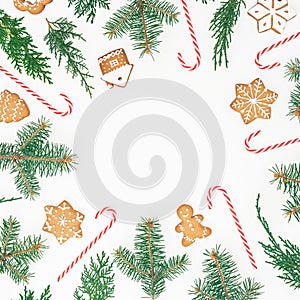 Frame made of gingerbread cookies, winter tree and candy cane on white background. Flat lay. top view. Christmas or New year holid