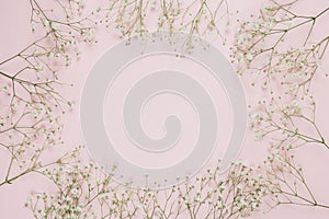 Frame made with gypsophila baby s breath flowers pink background. High quality and resolution beautiful photo concept