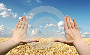 Frame made of hands at wheat field