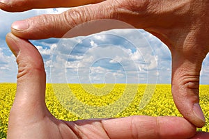 Frame made of hands at wheat field