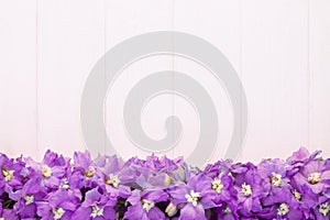 Frame made of lilac delphinium flowers on a white plank background. Top view. Copy space