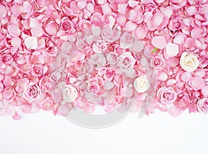 Frame made of pink rose petals