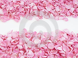 Frame made of pink rose petals