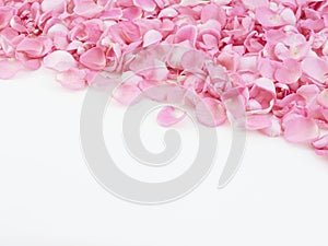 Frame made of pink rose petals