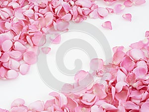 Frame made of pink rose petals