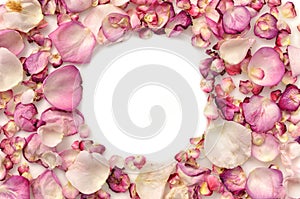 Frame made of pink rose petals