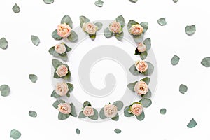 Frame made of pink roses, green leaves eucalyptus, branches, floral pattern on white background. Flat lay, top view