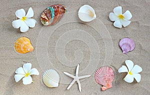 Frame made of plumeria flowers with starfish and seashells on sand. Summer background