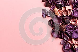 Frame made of purple and pink dry flowers, branches, leaves and petals on pastel pink background