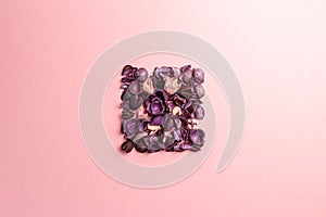 Frame made of purple and pink dry flowers, branches, leaves and petals on pastel pink background