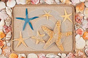 Frame made of rope, stars and seashells on the sand, with place for your image, text