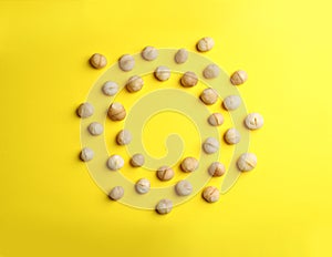 Frame made of shelled organic Macadamia nuts on color background, top view.