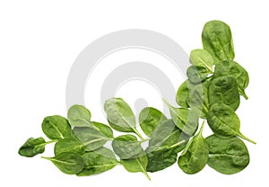 Frame made of spinach leaves isolated on white