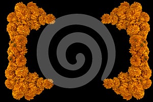 Frame made of Tagetes erecta called specific tagete, and known in Mexico as cempasÃÂºchil, cempoalxÃÂ³chitl, cempaxÃÂ³chitl, photo