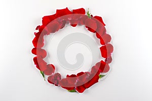 Frame made of velvet red roses petals on white background. Flat lay,