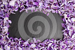 Frame made of violet wisteria flowers