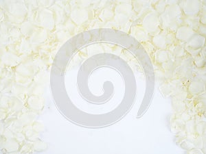 Frame made of white rose petals