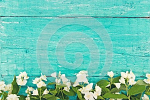 Frame of mock-orange flowers on turquoise wooden background photo