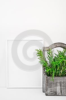 Frame mockup on white background, fresh green rosemary in vintage wood box, Provence style, styled image