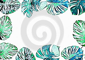 frame of monstera or ceriman leaves painted in watercolor on white background, frame of tropical leaves in watercolor photo