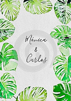 frame of monstera or ceriman leaves painted in watercolor on white textured paper background. watercolor tropical leaves frame photo