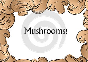 Frame mushrooms vector illustration background