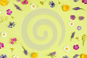 Frame from natural colorful wild flowers on a green background with copy space. Spring, summer boarder for your design photo