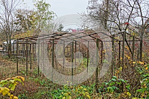 Frame of an old empty greenhouse in an overgrown garden